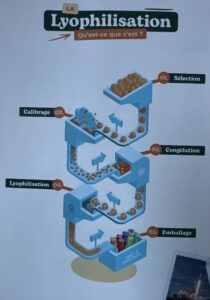 Processus de lyophilisation